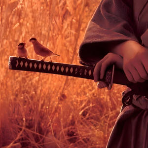 MURRAY (feat. JustViGI, Zai & Lyfelxss) (Explicit)