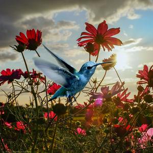 Bright And Beautiful (feat. Cecil Frances Alexander)