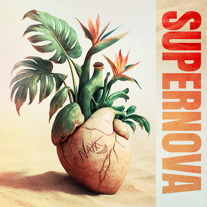 Supernova
