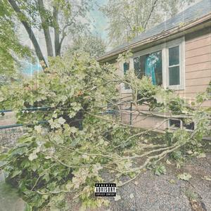 Fenix 24' (Explicit)