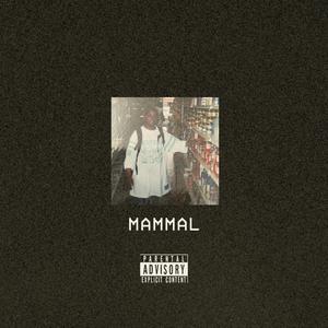 MAMMAL (Explicit)