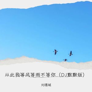从此我等风等雨不等你-刘德斌