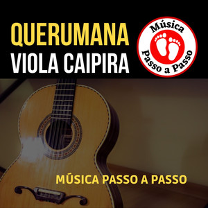 Franguinho Na Panela