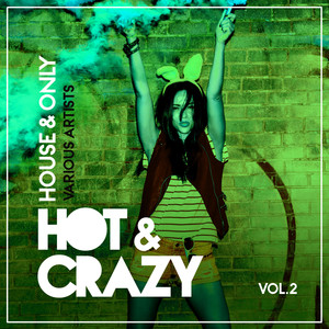 Bring Down The House (Original Mix)