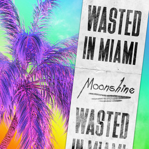 Wasted in Miami