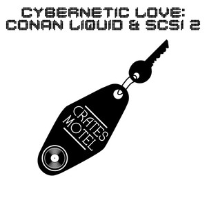 Cybernetic Love