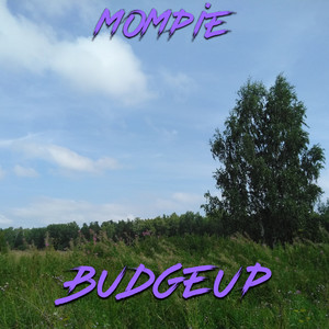 Budgeup (Explicit)