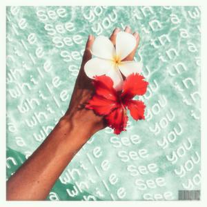 See you in a while (feat. wetgropes)