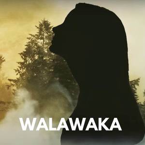 Manoj Dushan Fonseka - Walawaka