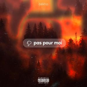 Pas pour moi (Explicit)