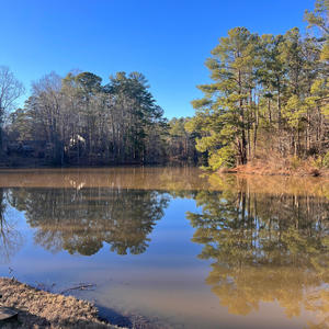 White Zinfandel (feat. SAKY) (Explicit)