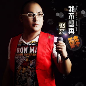 刘爽 - 我不想再醉 (伴奏)