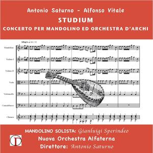 Concerto per mandolino ed orchestra d'archi