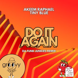 Do It Again (Da Funk Junkies Remix)