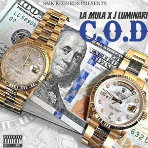 C.O.D (feat. J Luminari) (Explicit)