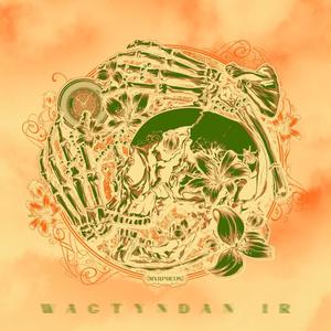 WAGTYNDAN IR(feat. Lil Pro)