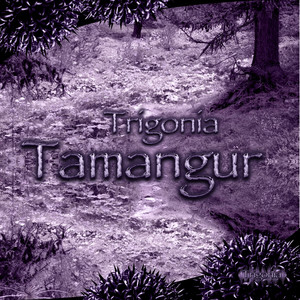 Tamangur