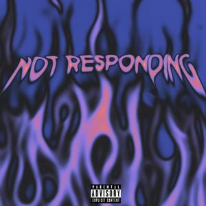 Not Responding (feat. Meet) [Explicit]