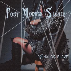 Analog Slave