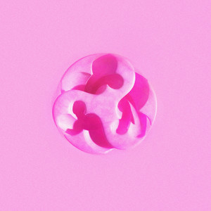 When The Truffles Get Dry