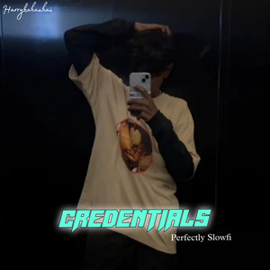 CREDENTIALS (Perfectly Slowfi) [Explicit]