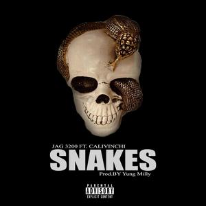Snakes (feat. Calivinchi) (Explicit)