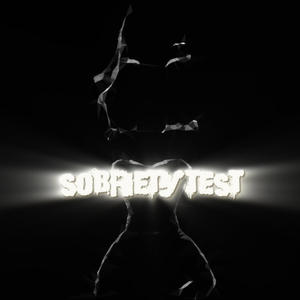 SOBRIETY TEST (Explicit)