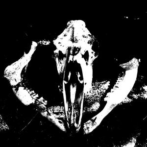 Mooseyahd Flow Freestyle (Explicit)