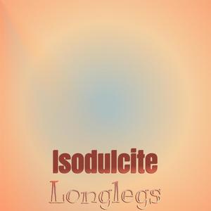 Isodulcite Longlegs