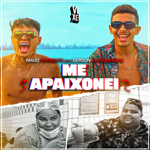 Me Apaixonei (Remix) [Explicit]