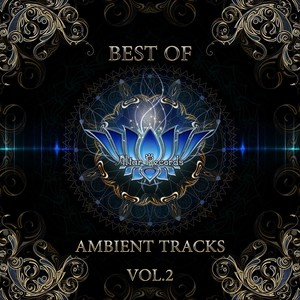 Best of Ambient Tracks, Vol. 2 (Explicit)