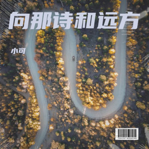 向那诗和远方