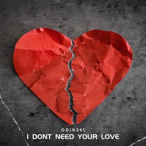 I Don't Need Your Love