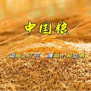中国粮 (伴奏)