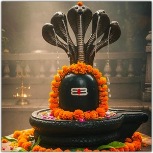 Mahadev Ji (BGM)