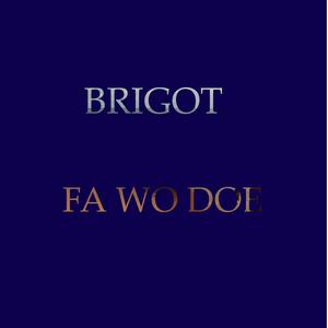 Fa wo doe (feat. Brigot)