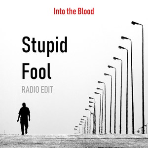 Stupid Fool (Inst.)