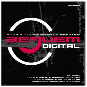 Junky Savate (Farrel 8 Remix)