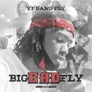 BIG BAD FLY (Deluxe) [Explicit]