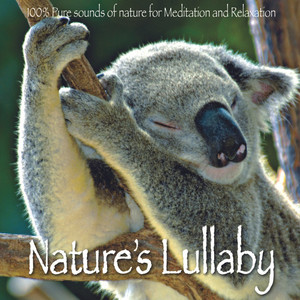 Sunset (A Delicate Harmony And Gentle Bush Sounds for Nature's Bedtime)