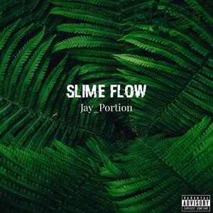 Slime Flow (Explicit)