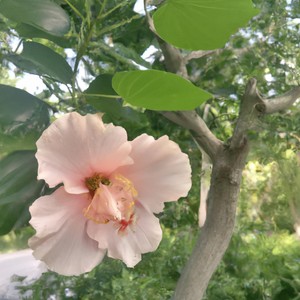 我的爱只能够让你一个人独自拥有-祖丰丰