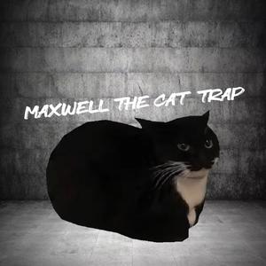 MAXWELL THE CAT TRAP