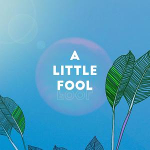 A Little Fool