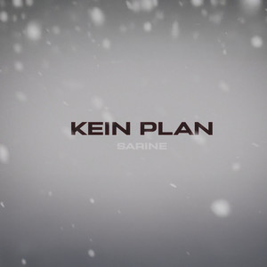 Kein Plan