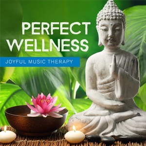 Perfect Wellness - Joyful Music Therapy