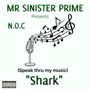 Speak thru my music (Explicit)