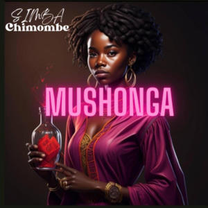 Mushonga (feat. Toga daddy)