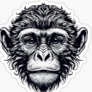 SOMMER IN DEUTSCHLAND (Explicit)