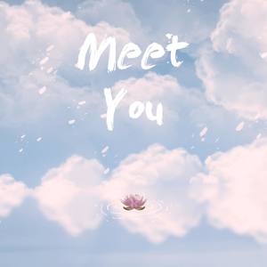 Meet You